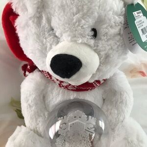 New bear